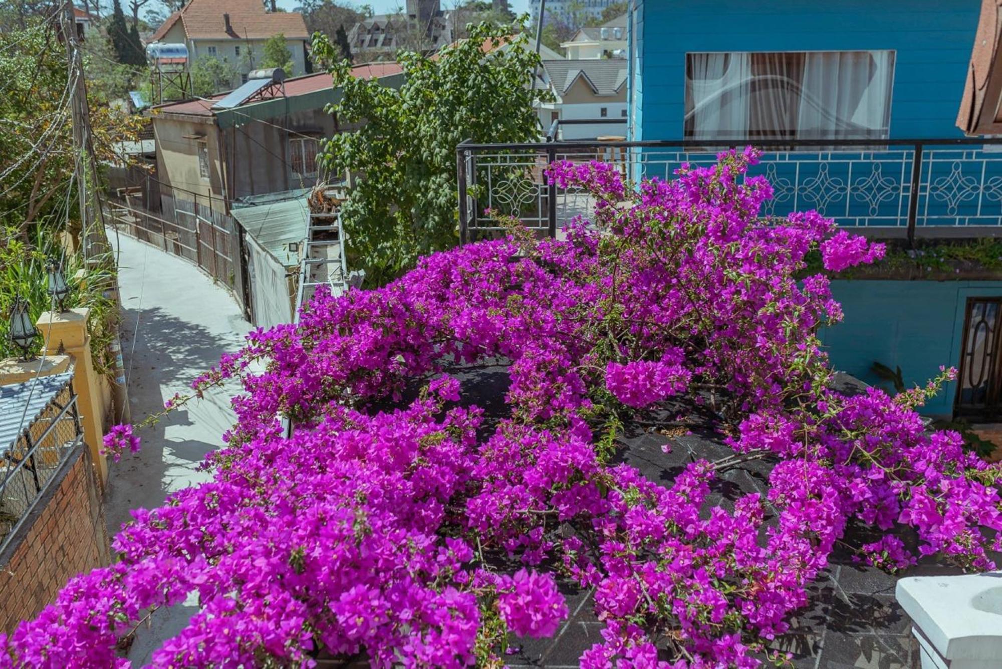 Mhome Dalat Exteriör bild